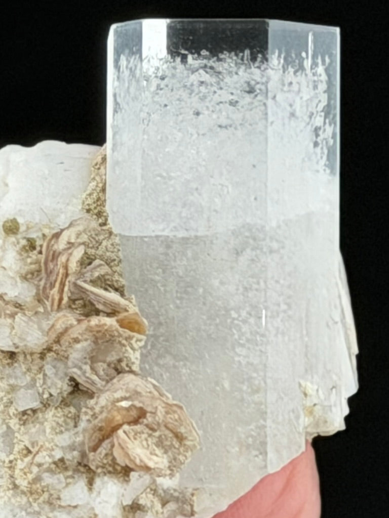 Beryl var. Goshenite with Albaite Feldspar & Muscovite, Pakistan