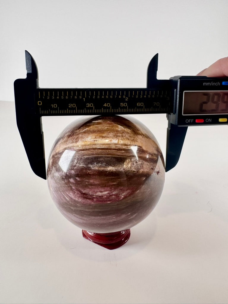 Petrified Wood Sphere