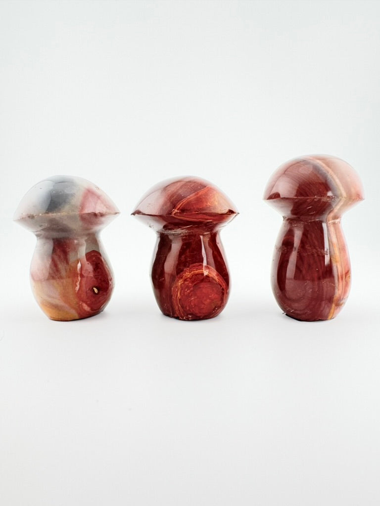 Polychrome Jasper Medium Mushroom