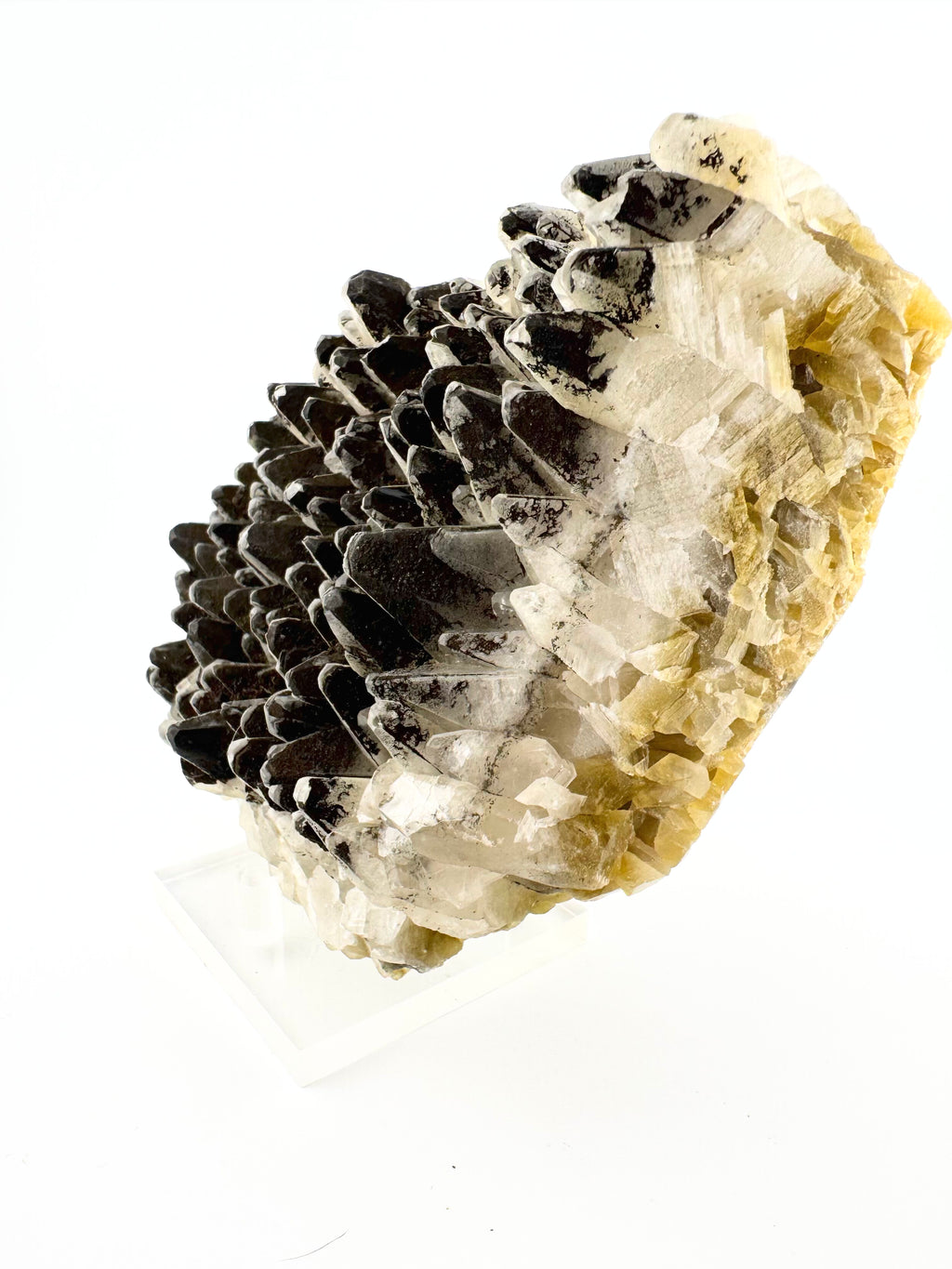 Dog Tooth Calcite with Rainbow Chalcopyrite