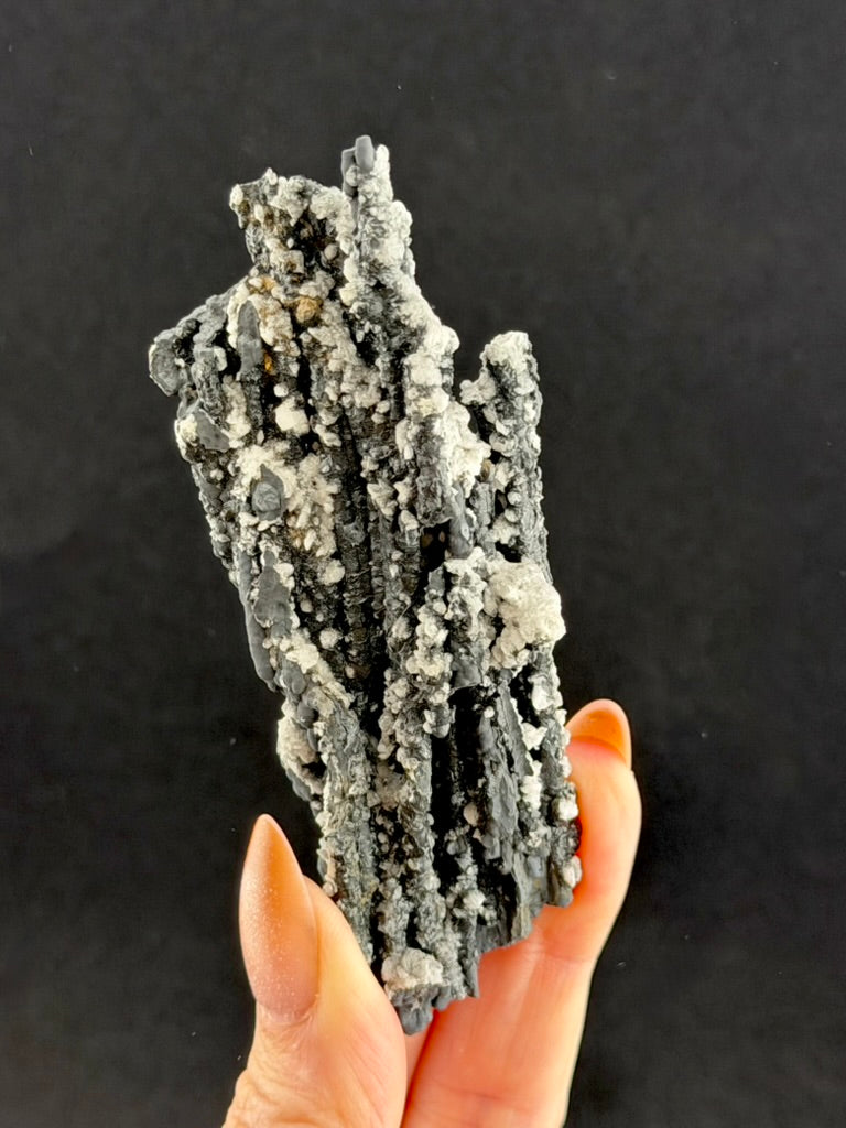 Pyrolusite and Dolomite, Ontario, Canada