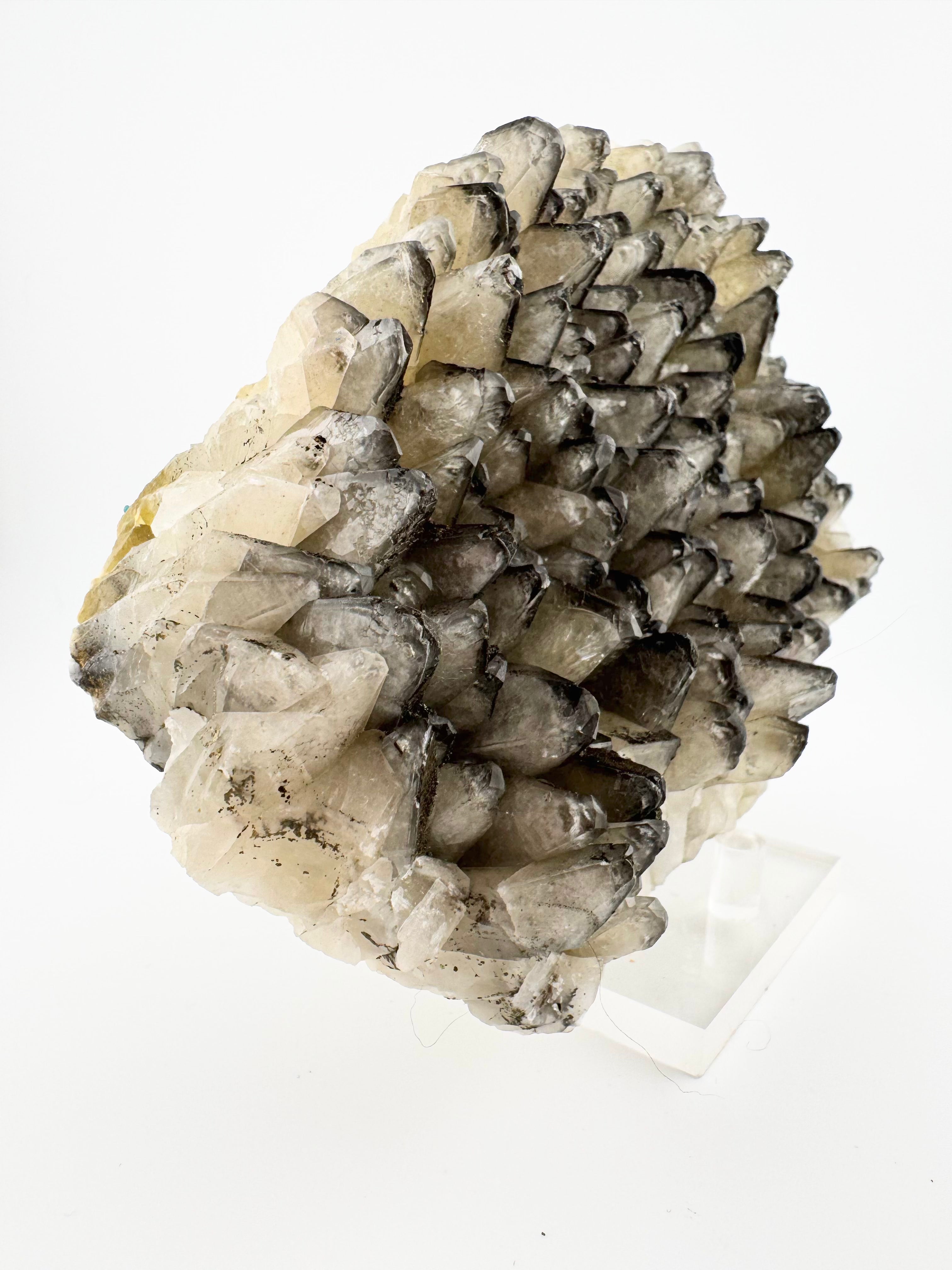 Dog Tooth Calcite with Rainbow Chalcopyrite