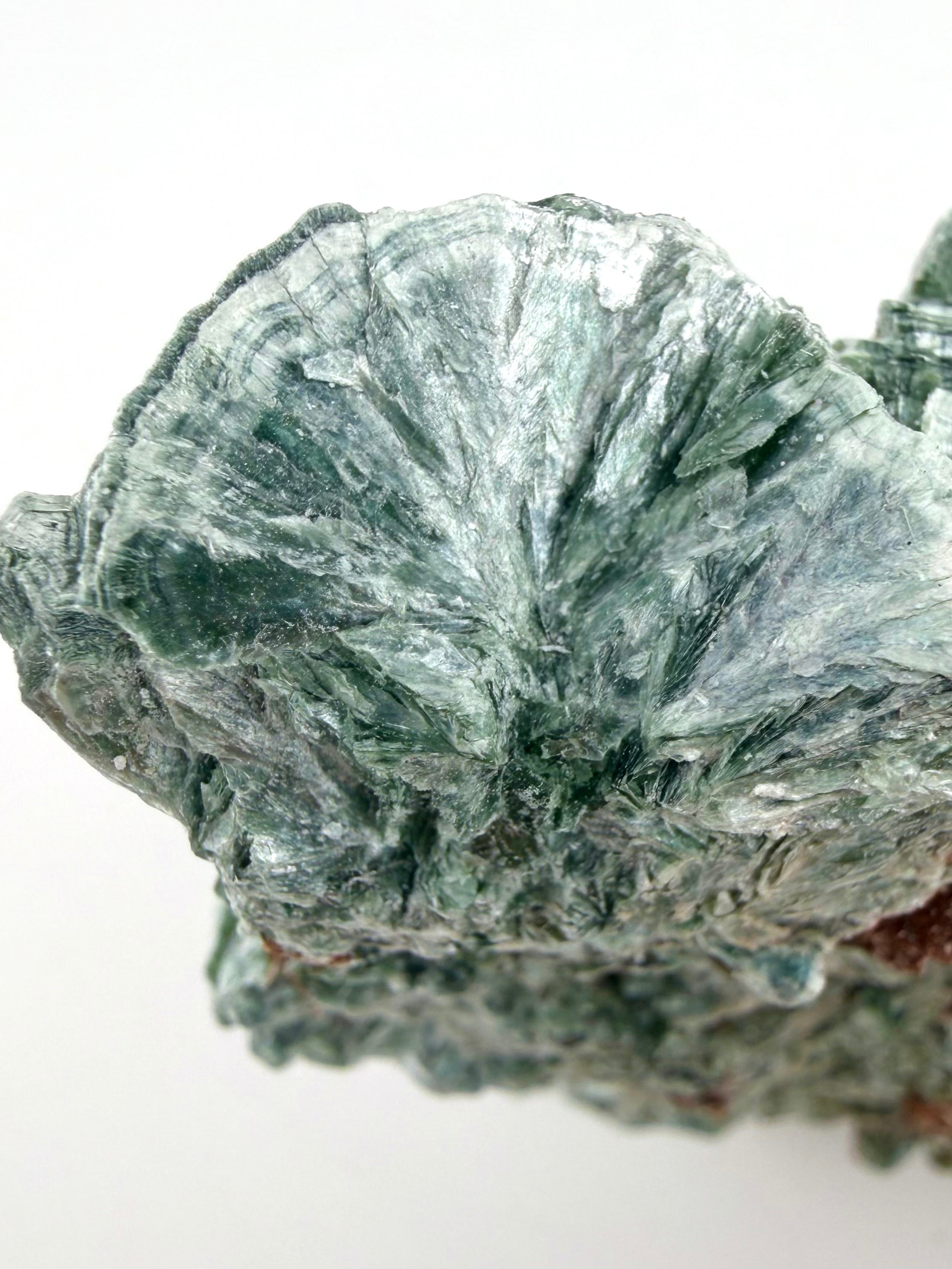 Seraphinite Bloom