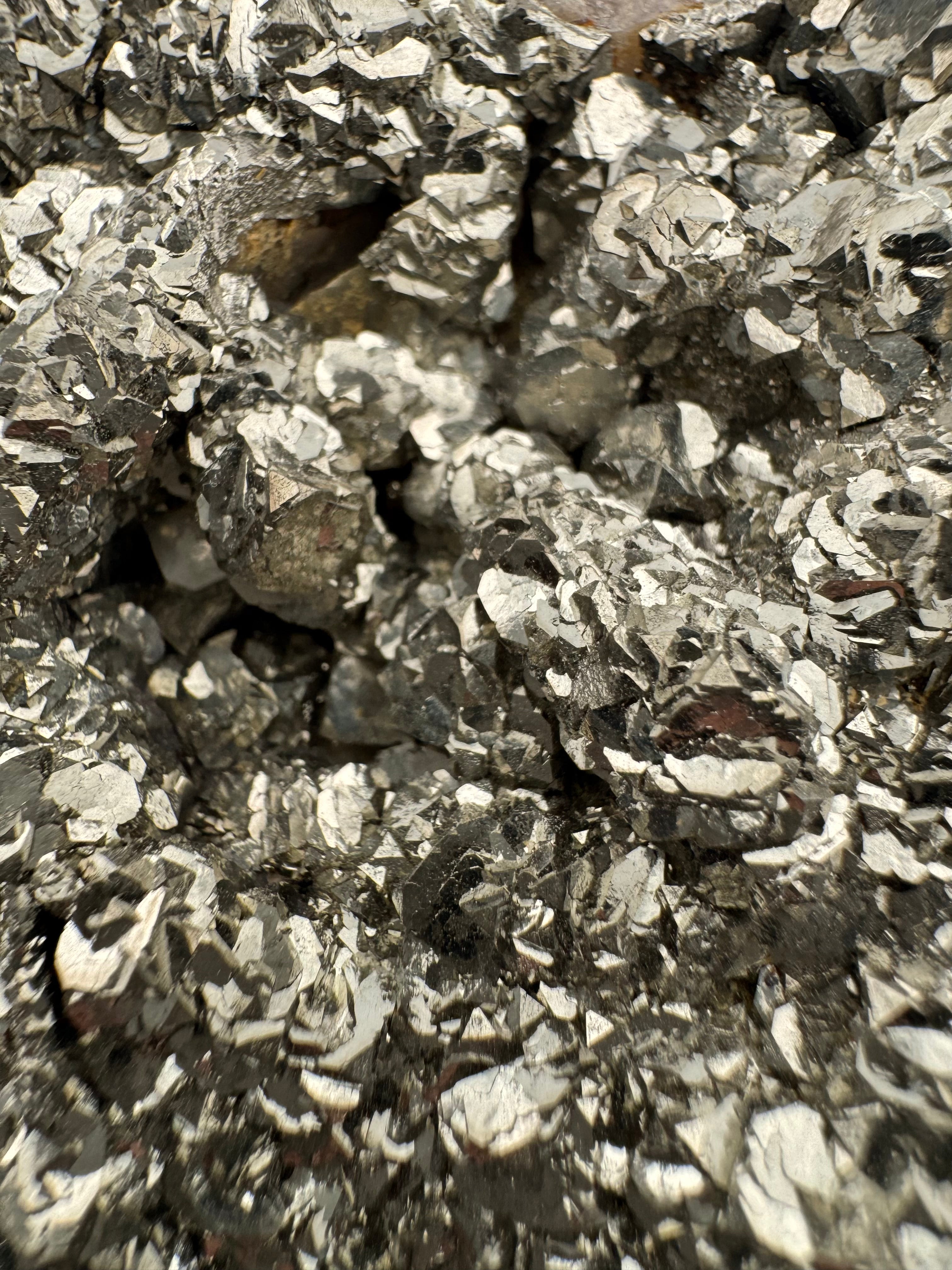 Gilded Bloom Pyrite
