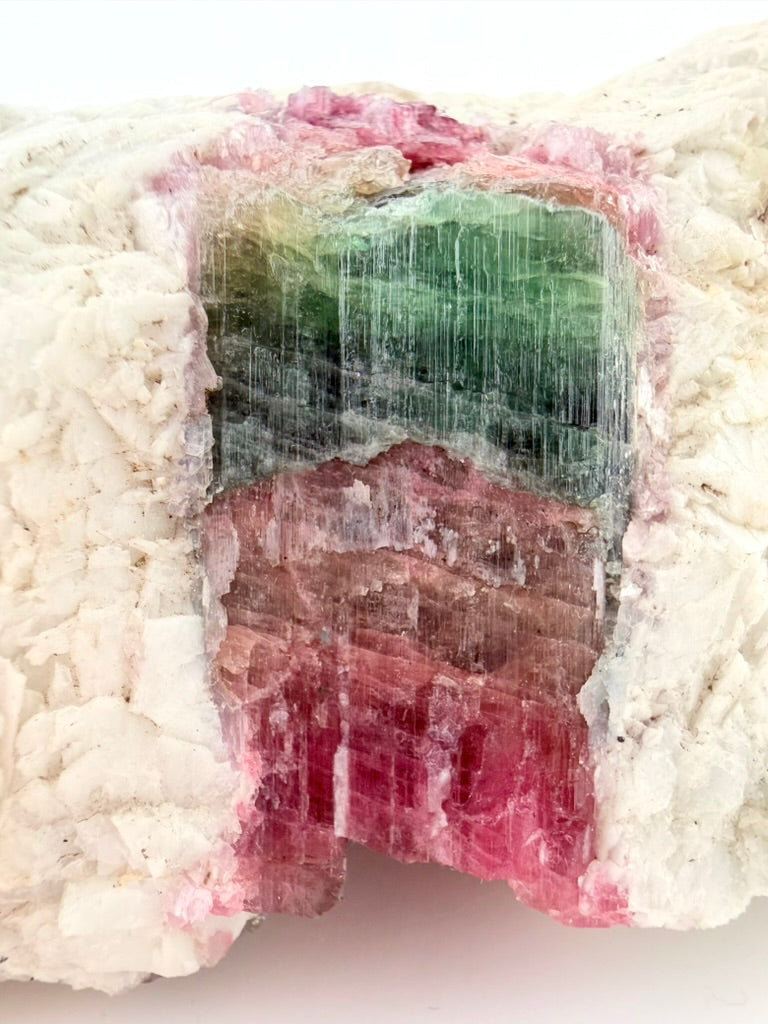 Watermelon Tourmaline in Albite & Quartz