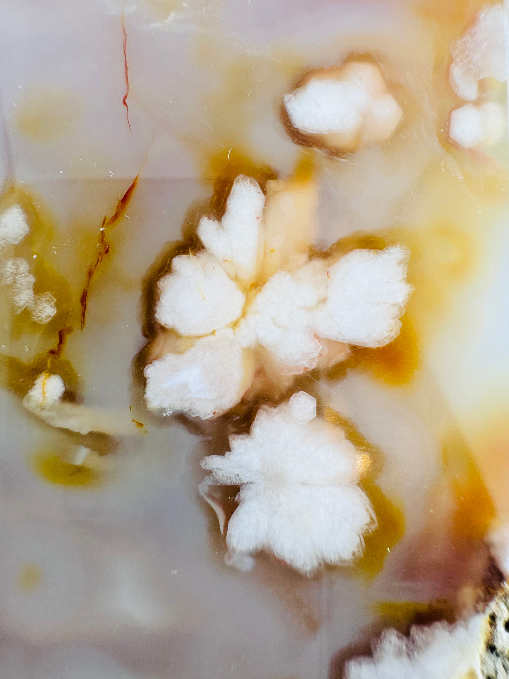 Cherry Blossom Agate Freeform