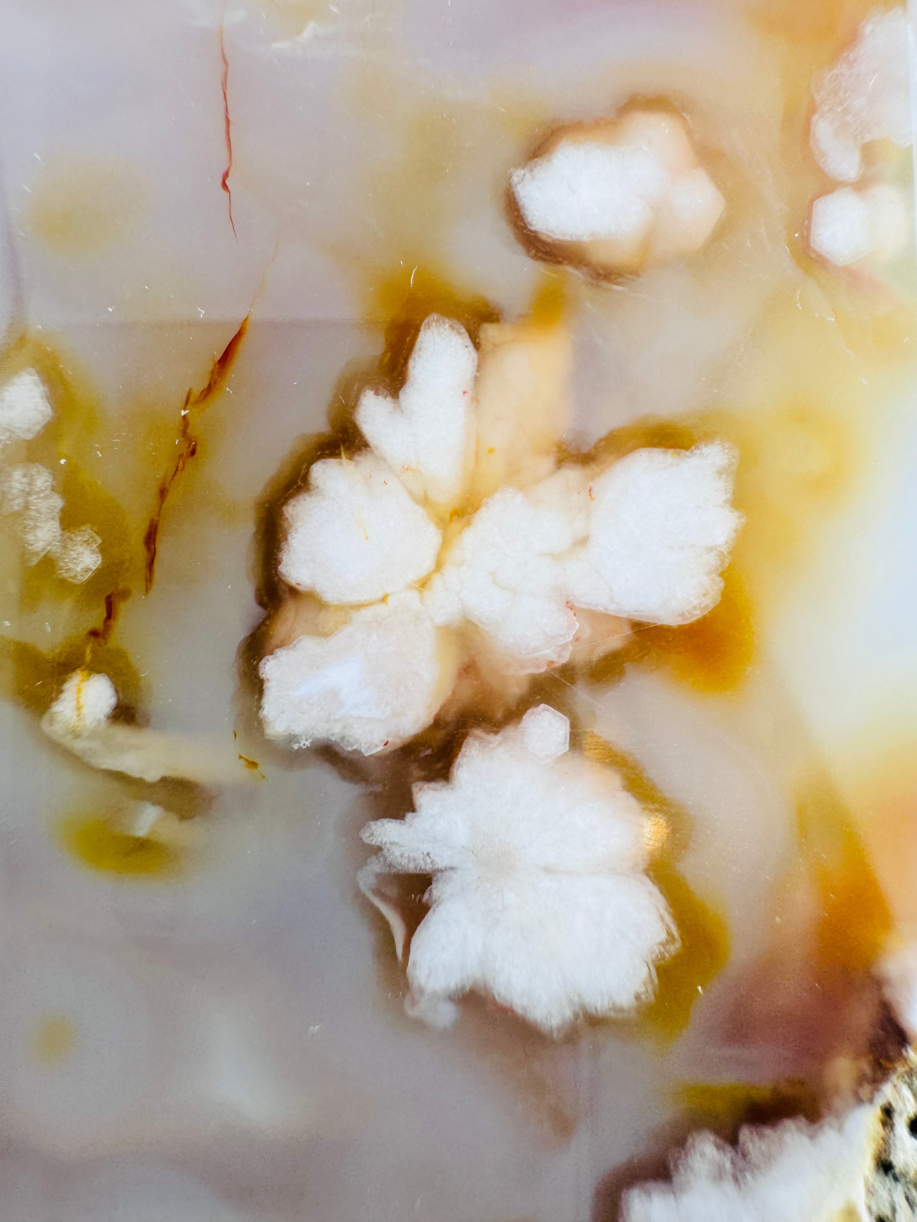 Cherry Blossom Agate Freeform