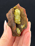 Adamite and Calcite on Limonite, Mexico