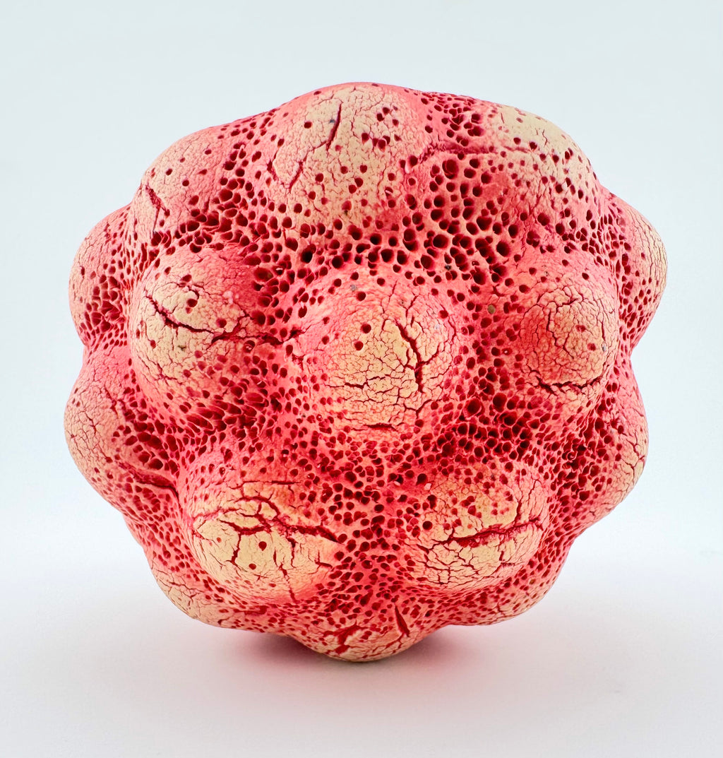 Pócaí, by Sinéad Boyle