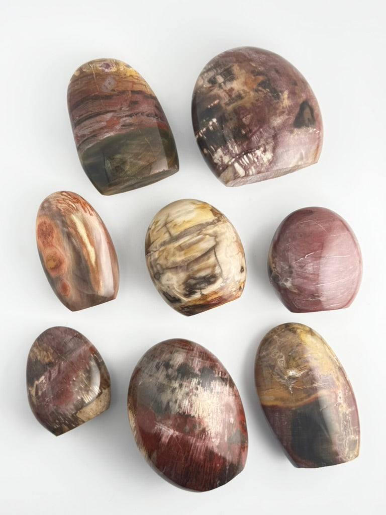 Petrified Wood Free Form