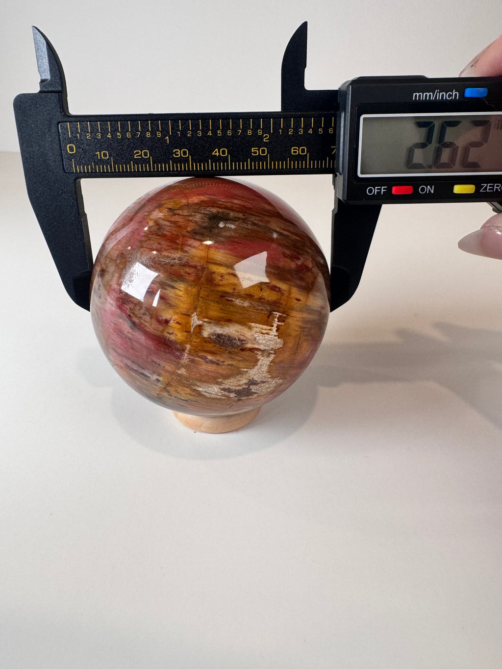 Petrified Wood Sphere