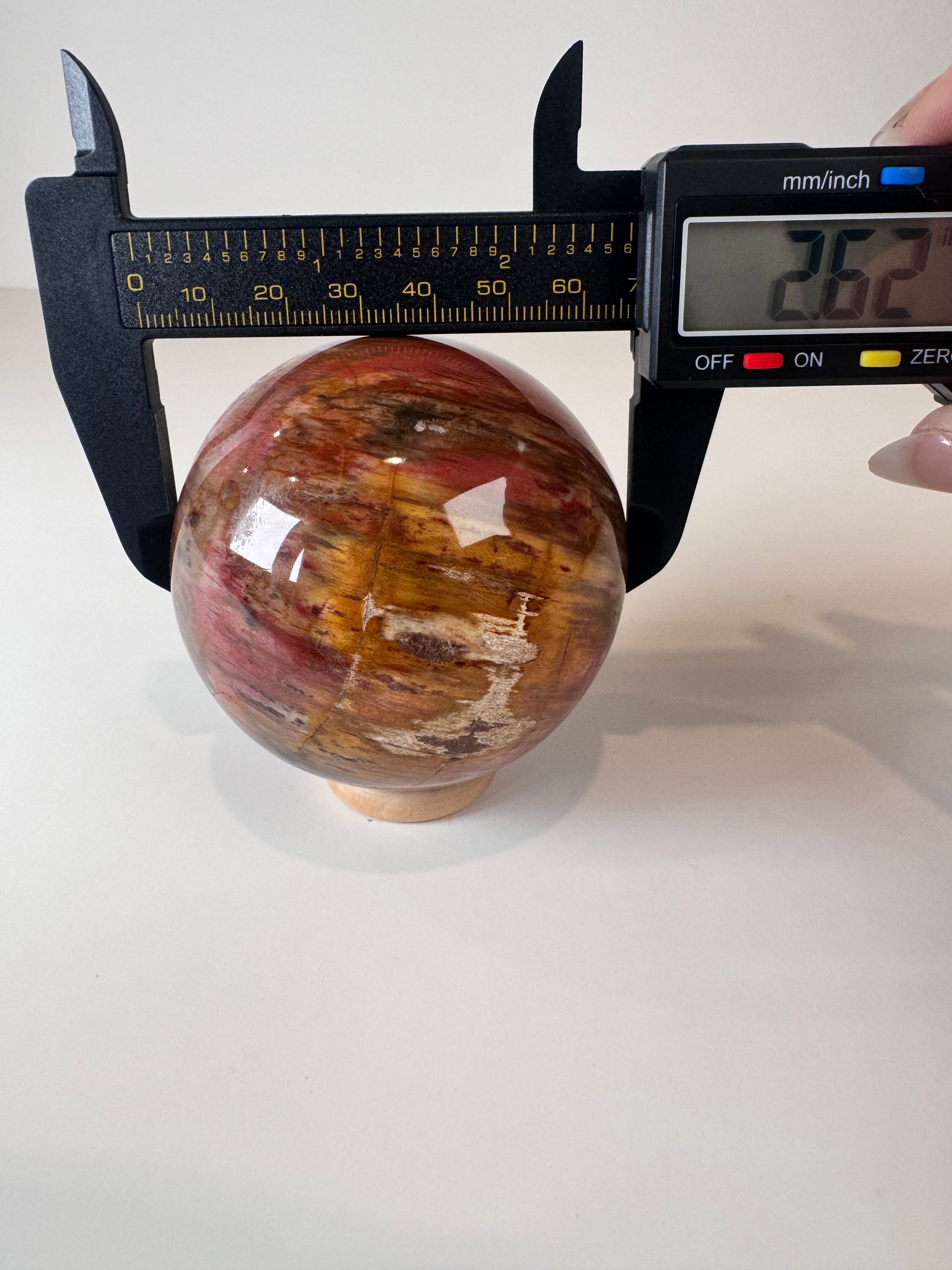 Petrified Wood Sphere