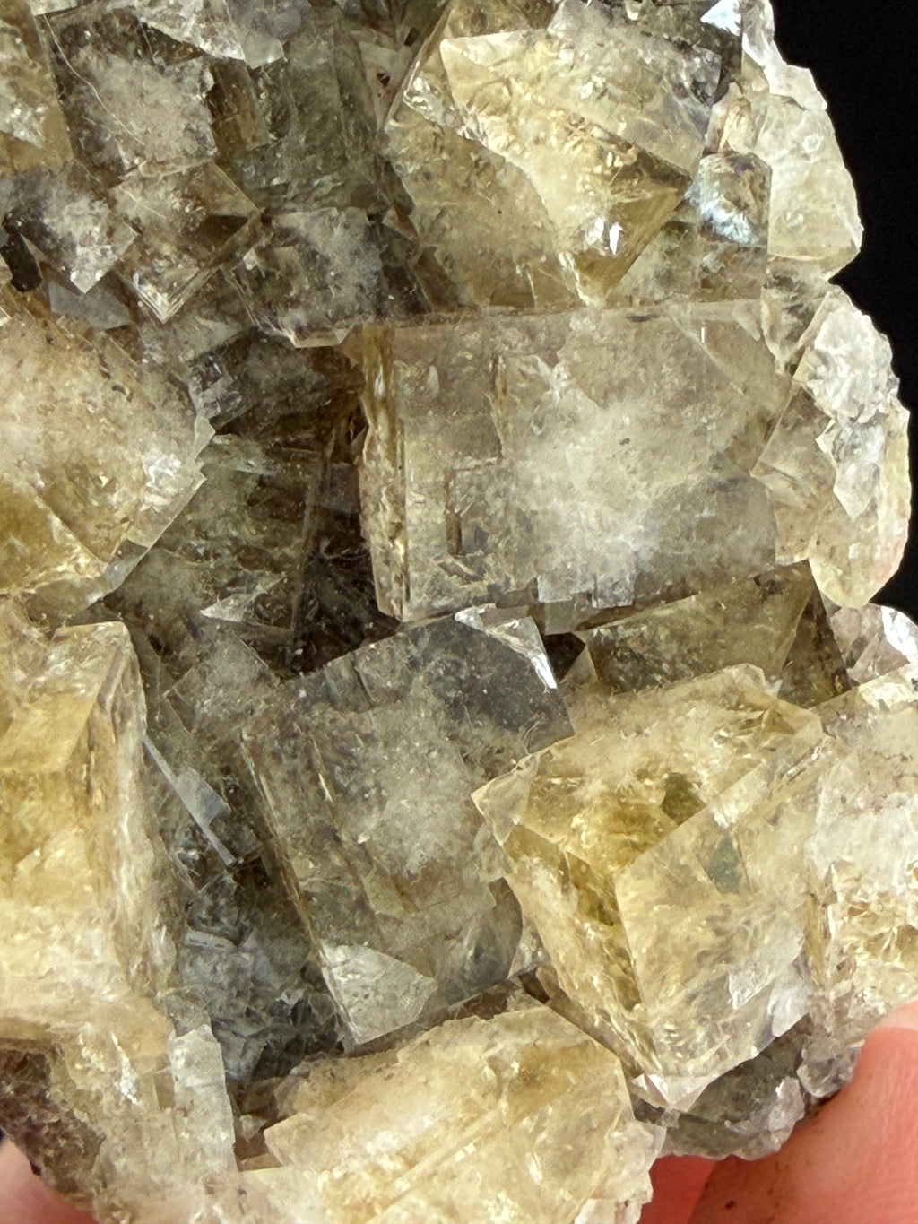 Frazer's Hush Fluorite, County Durham, England