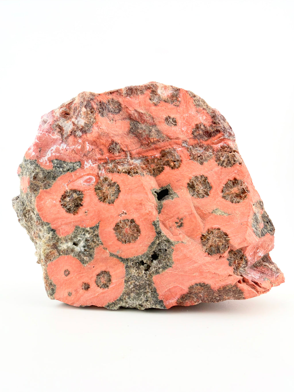 8th Vein Ocean Jasper Raw Specimen