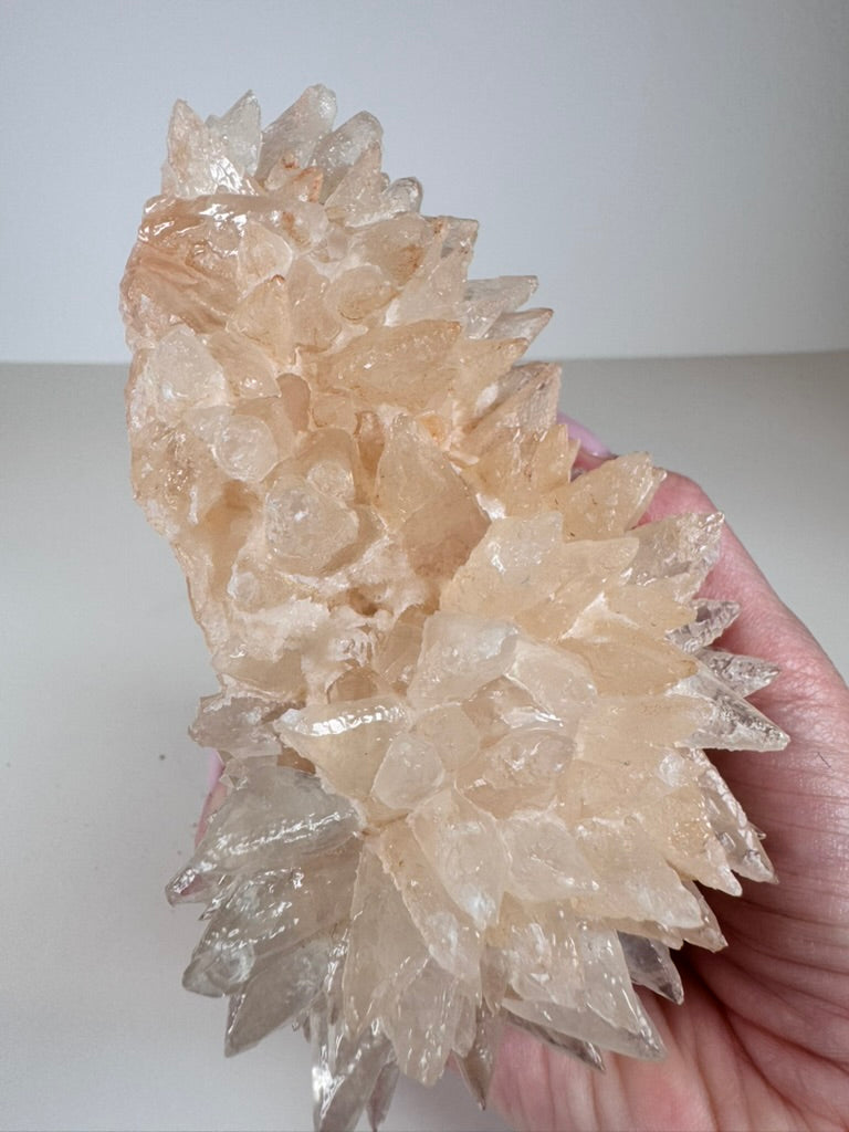 Pink Dogtooth Calcite Hedgehog