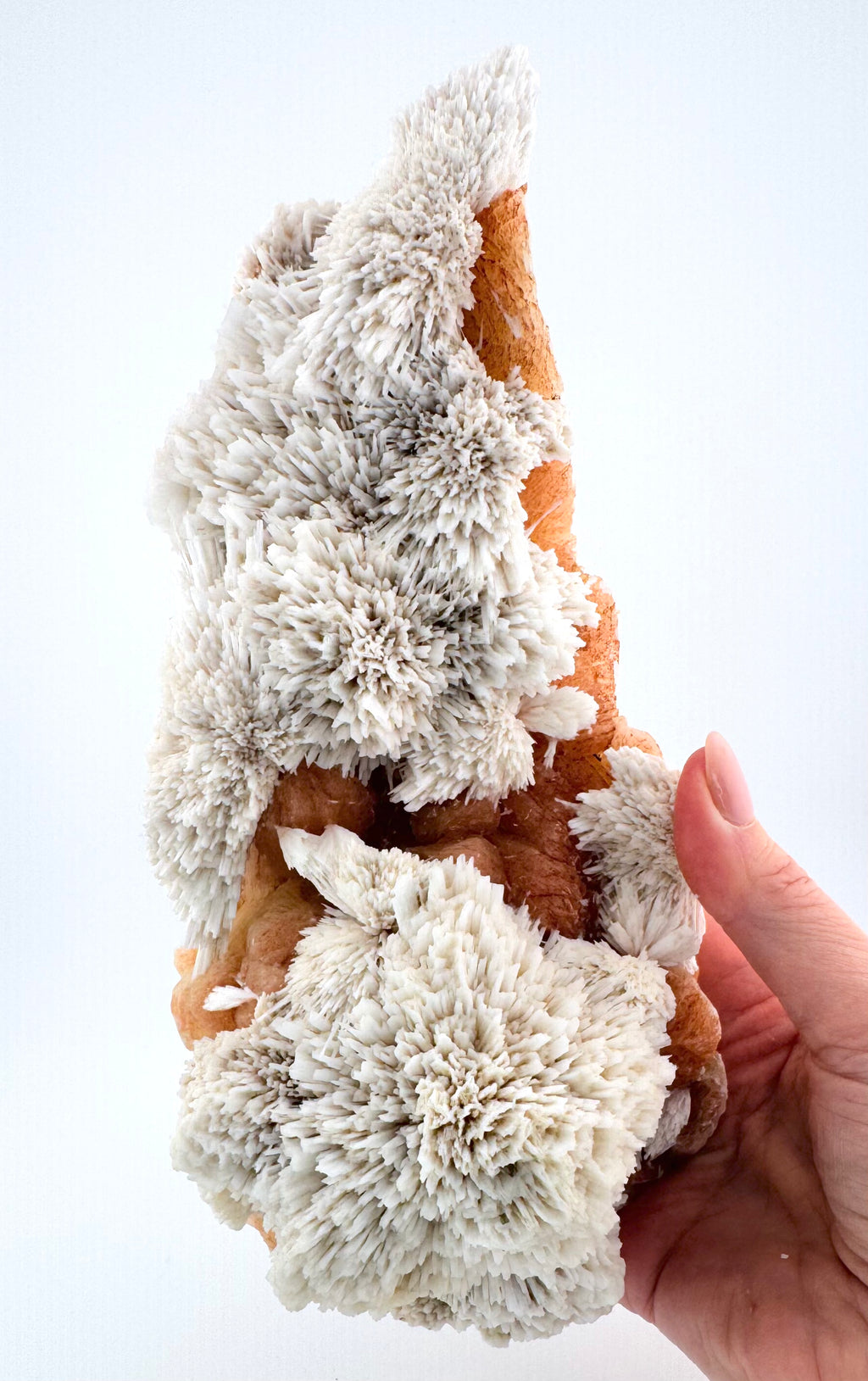 Scolecite with Peachy Stilbite