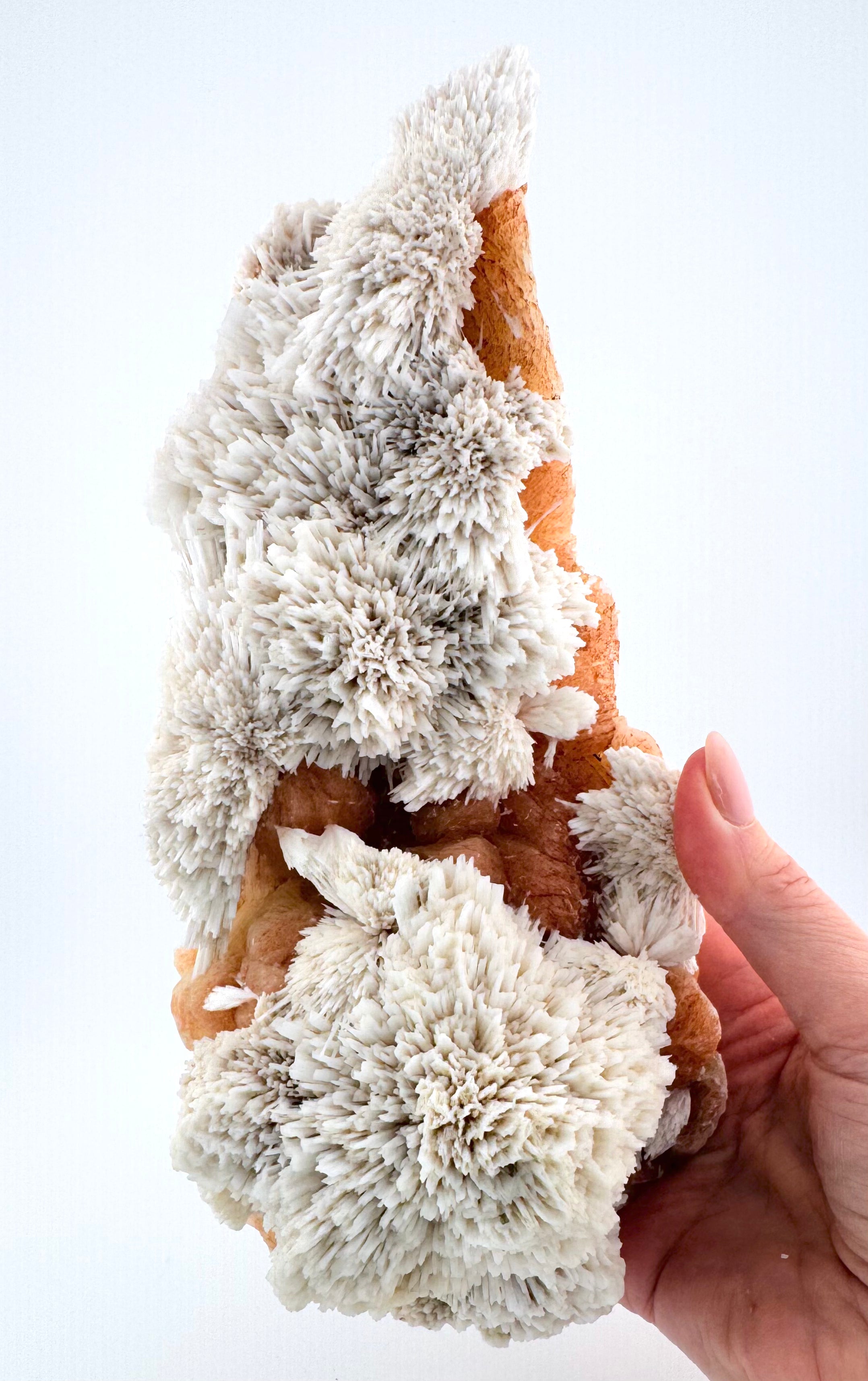 Scolecite with Peachy Stilbite