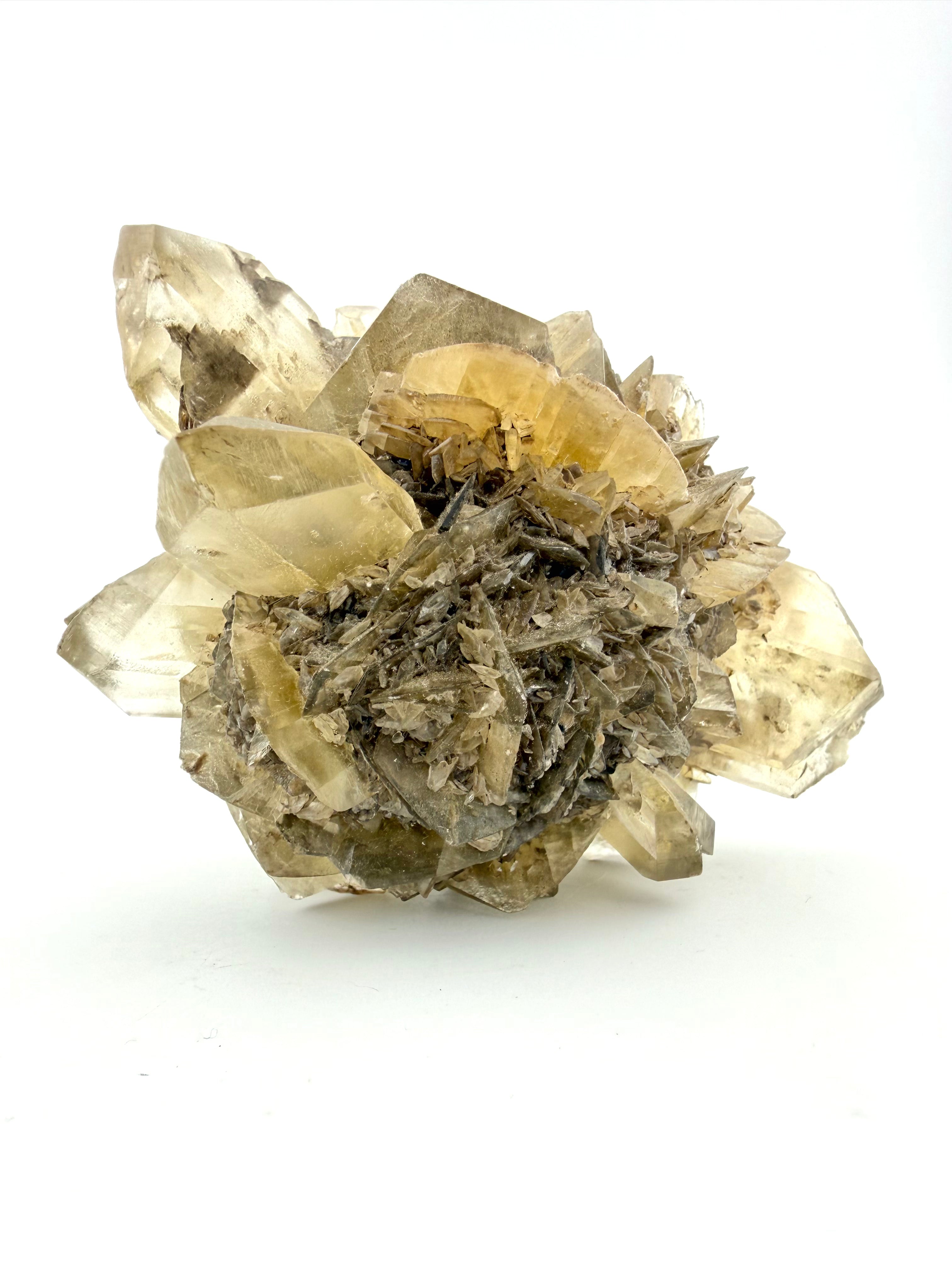 Duckbill Selenite