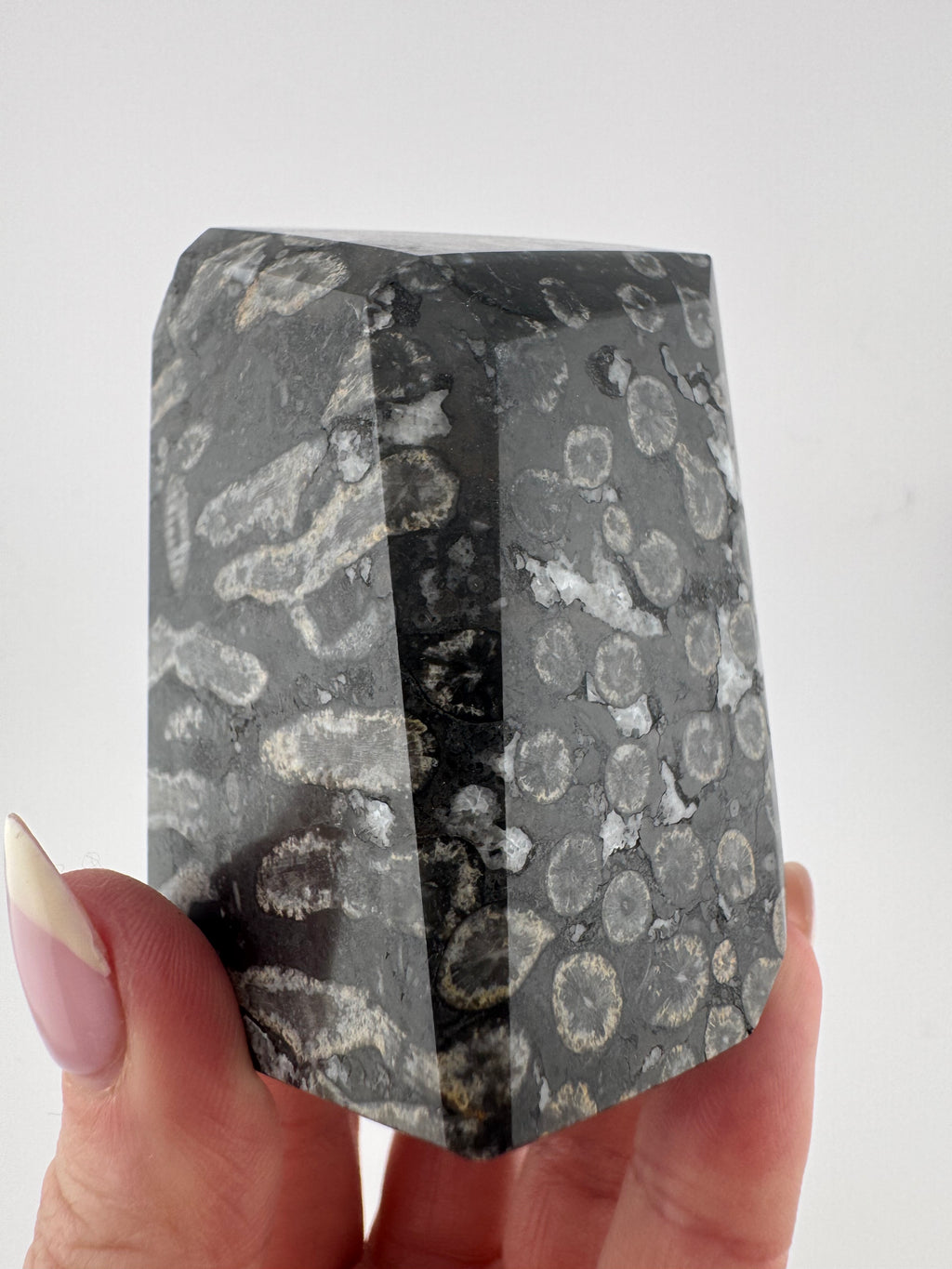 Black Coral Jade Freeform