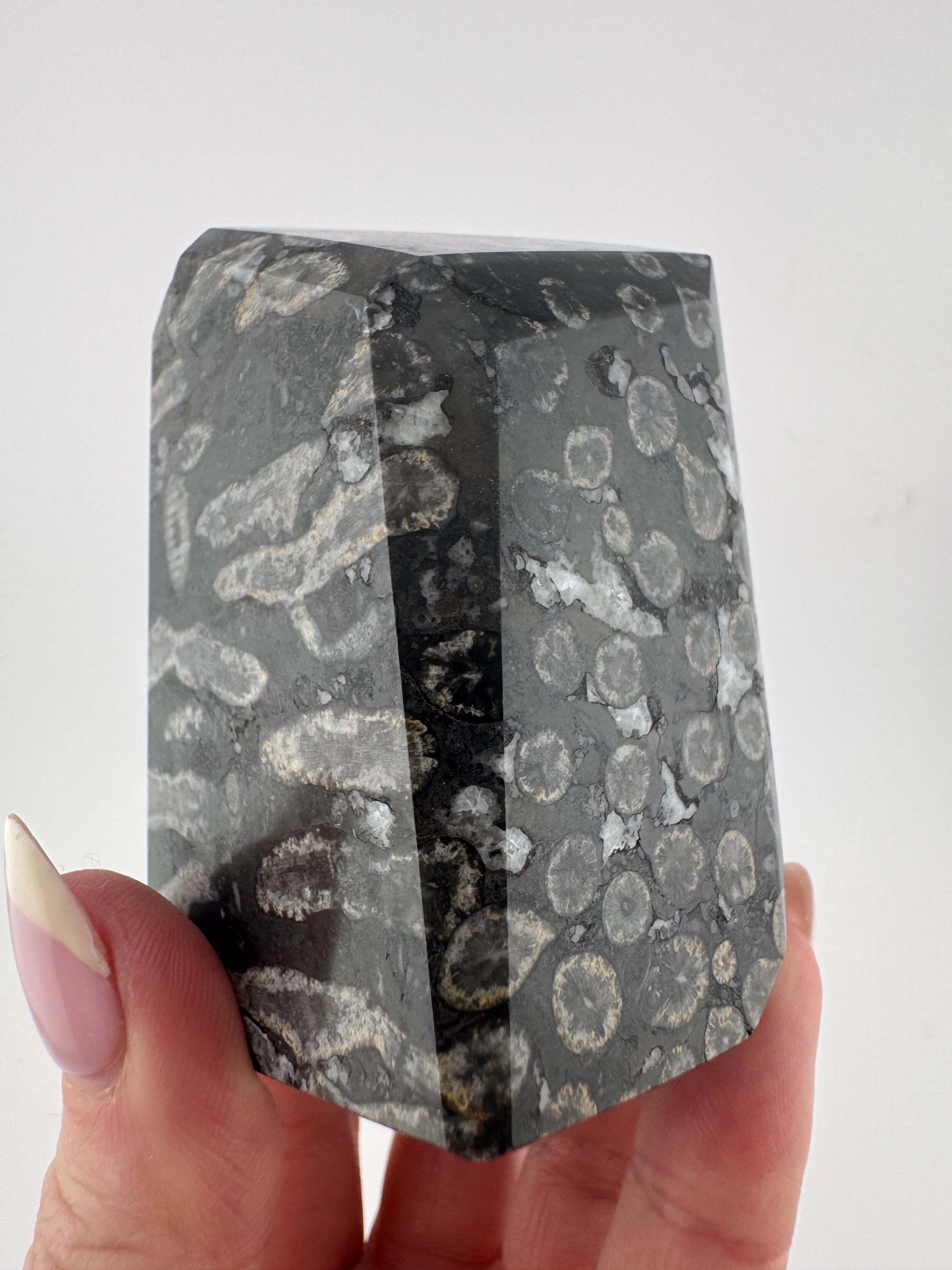 Black Coral Jade Freeform