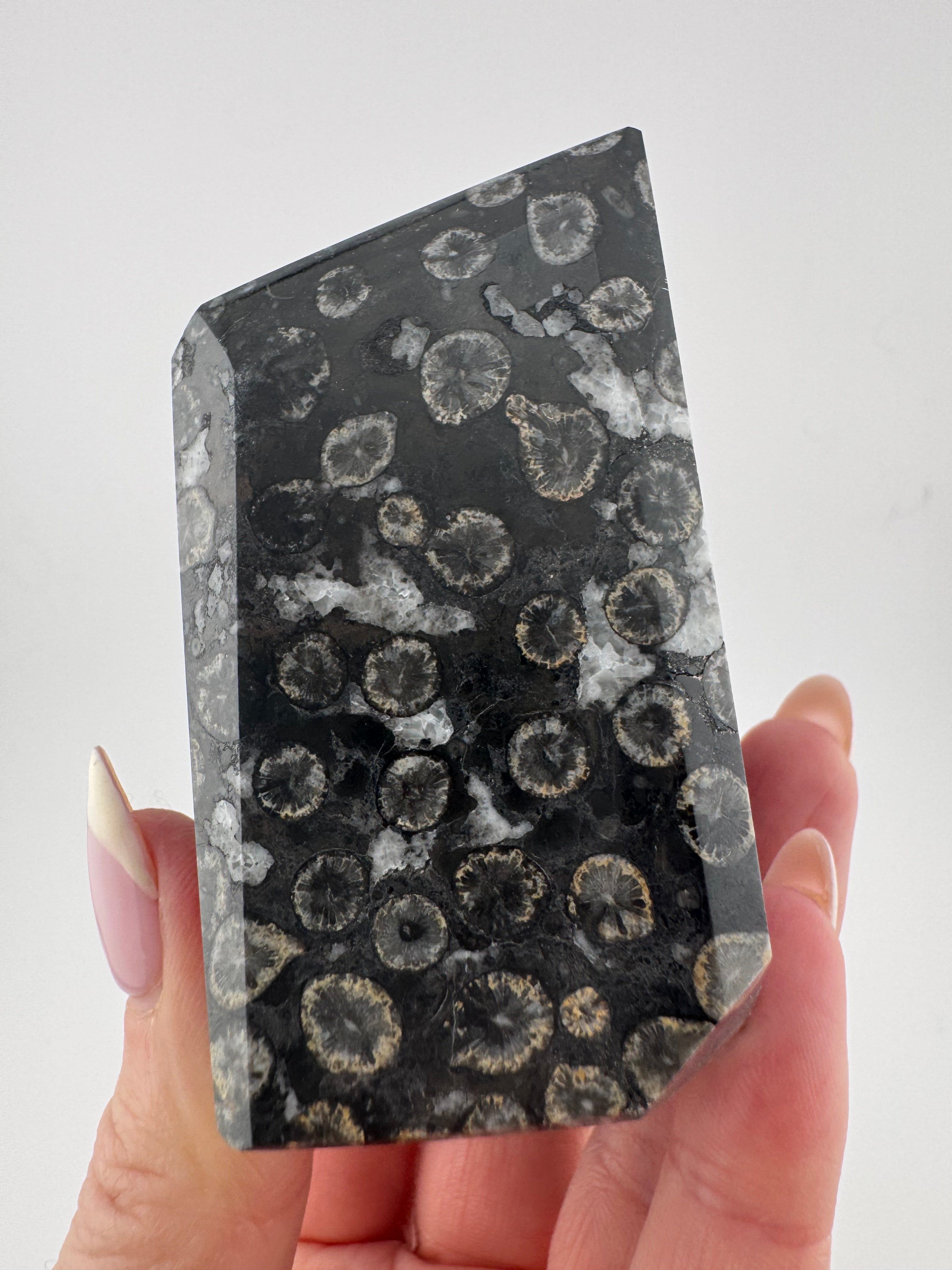 Black Coral Jade Freeform