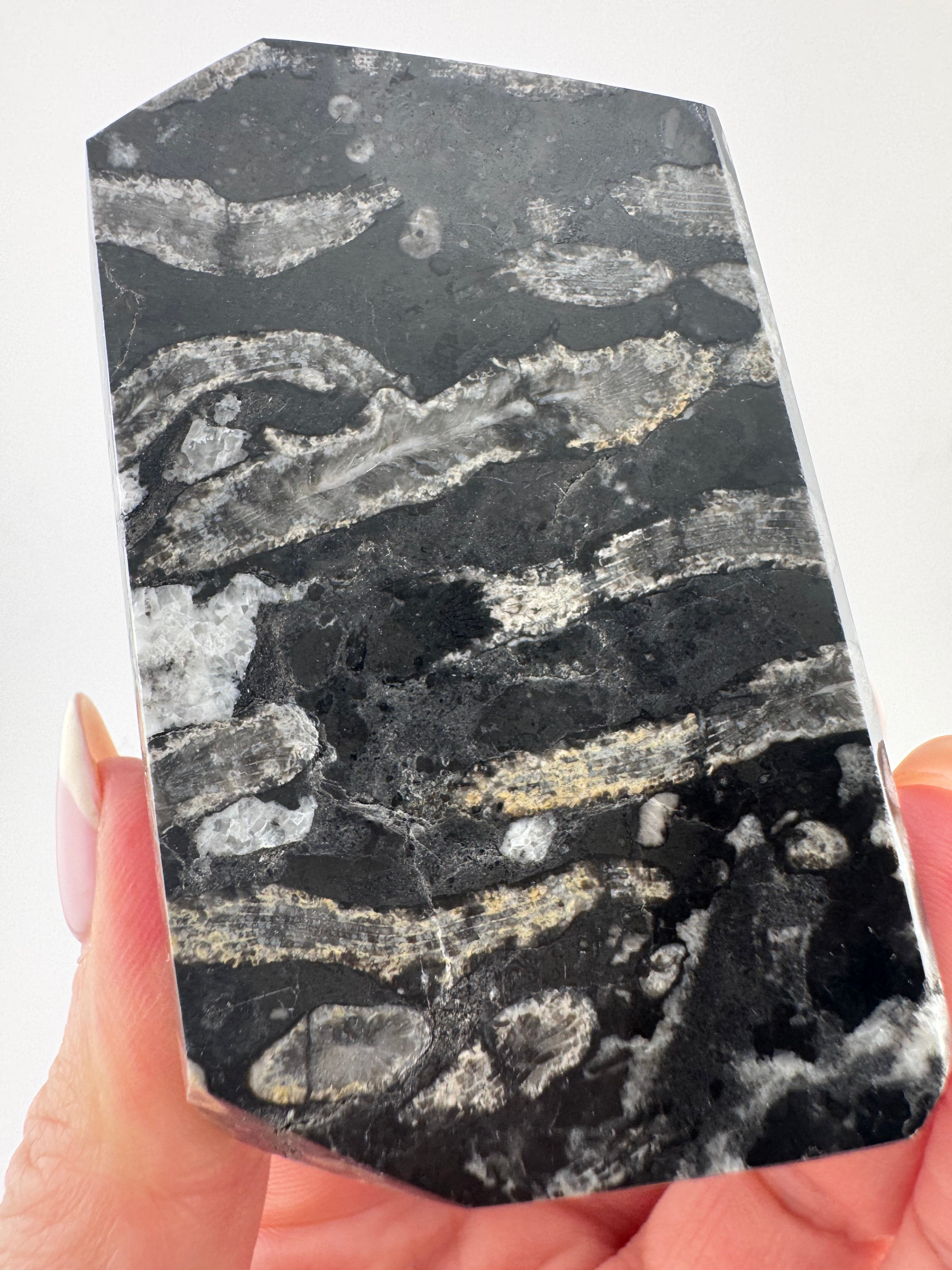 Black Coral Jade Freeform