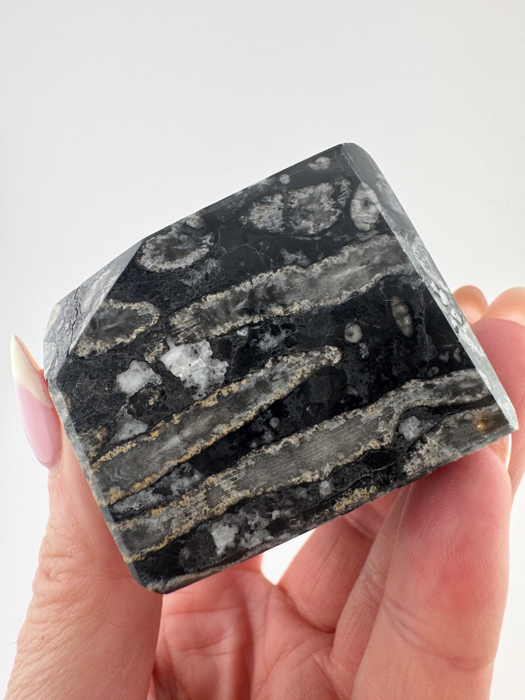 Black Coral Jade Freeform