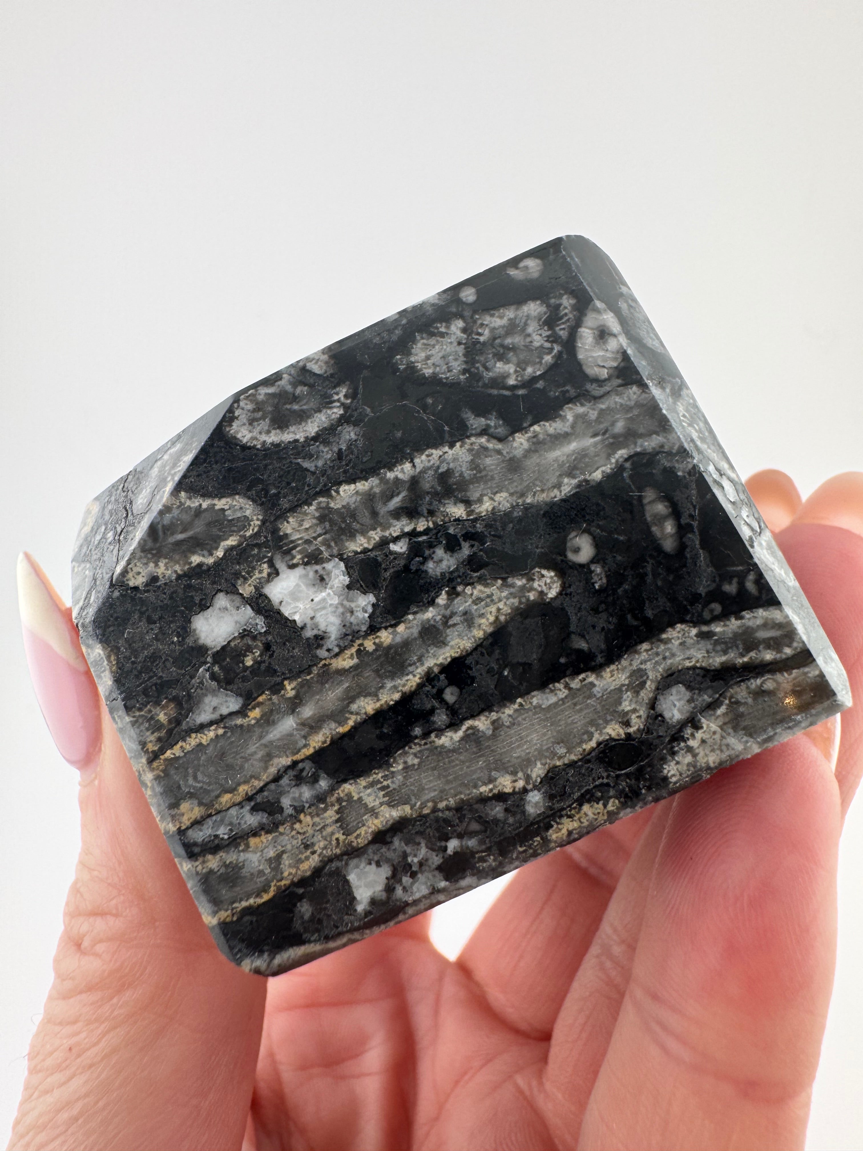 Black Coral Jade Freeform