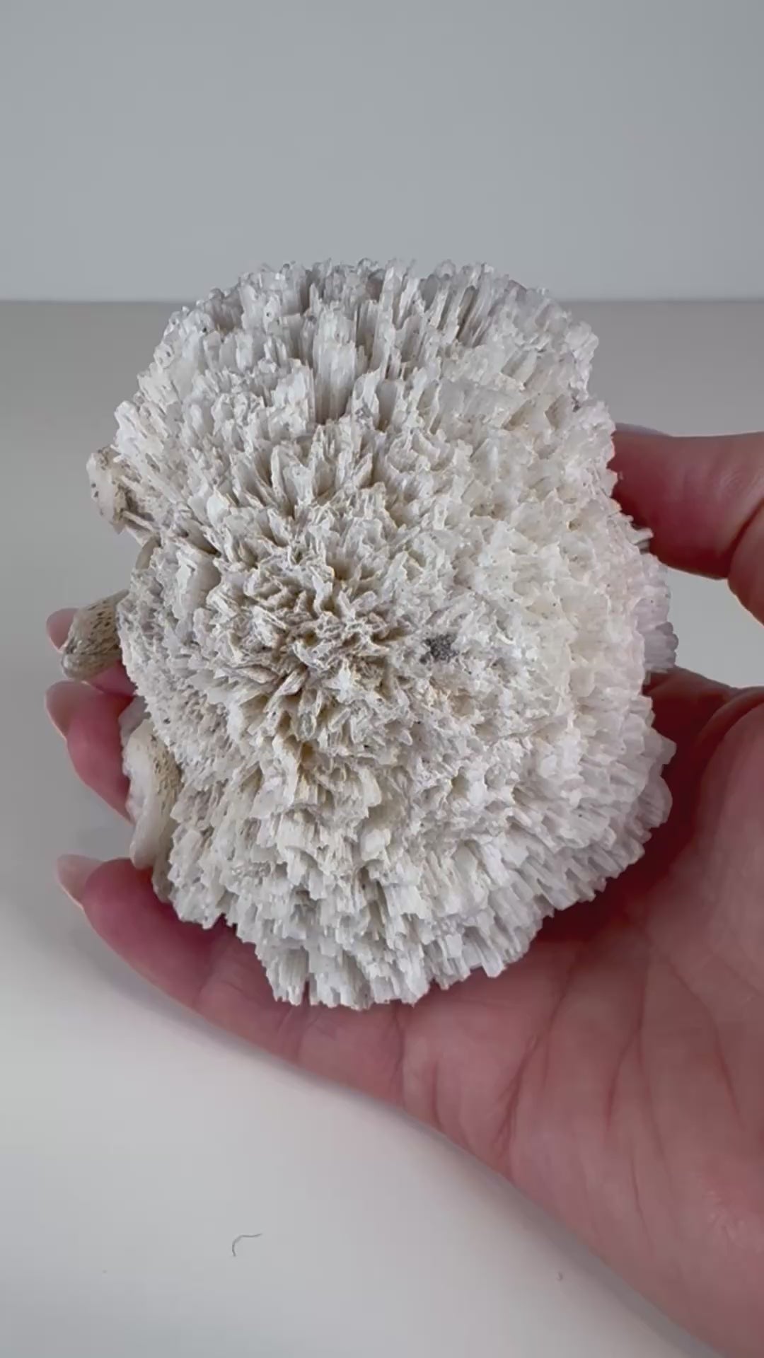 Scolecite and Stilbite