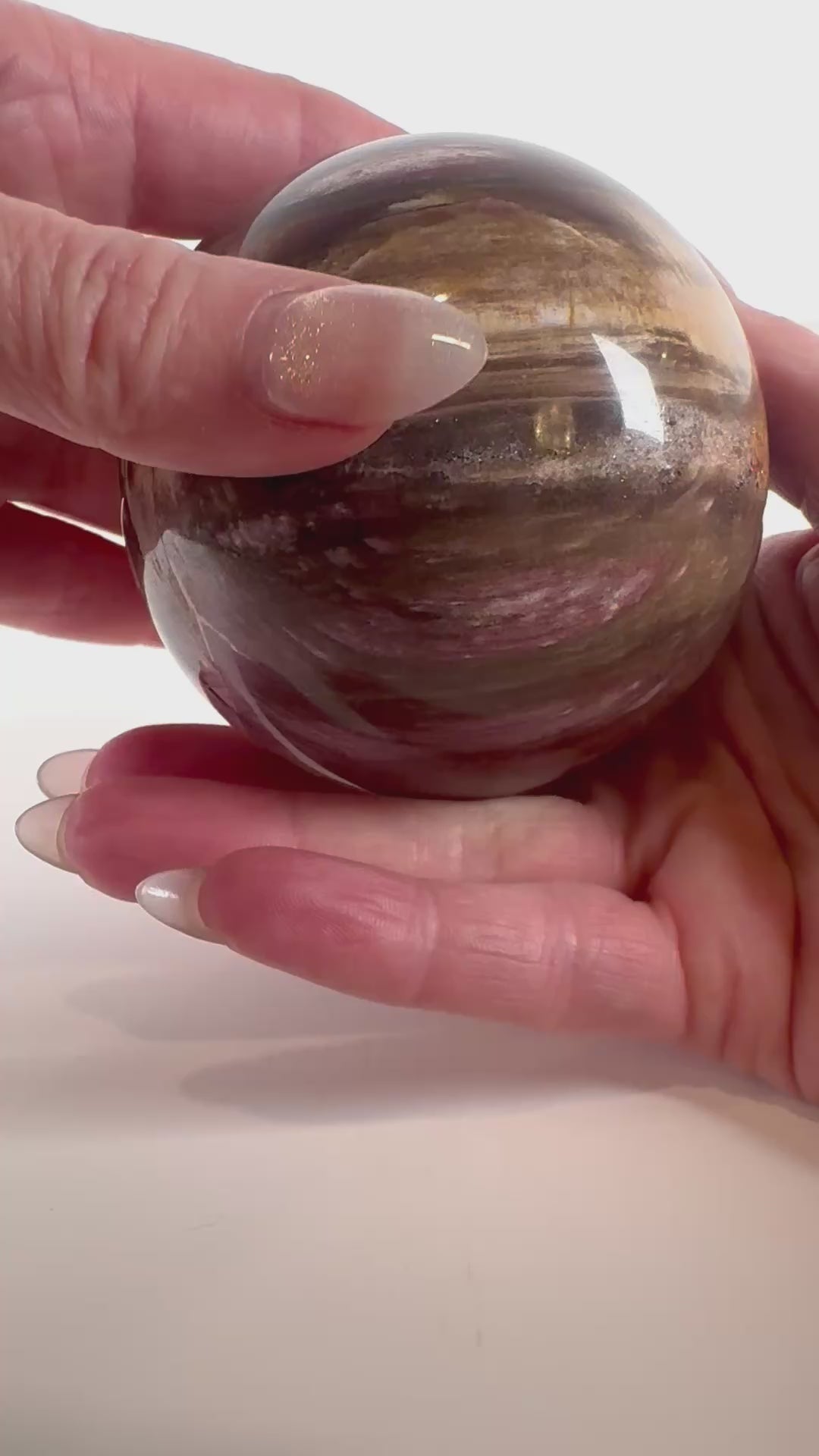 Petrified Wood Sphere