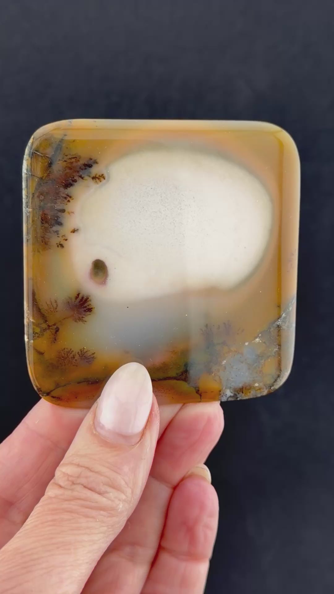 Dendridic Agate, Kazakhsan
