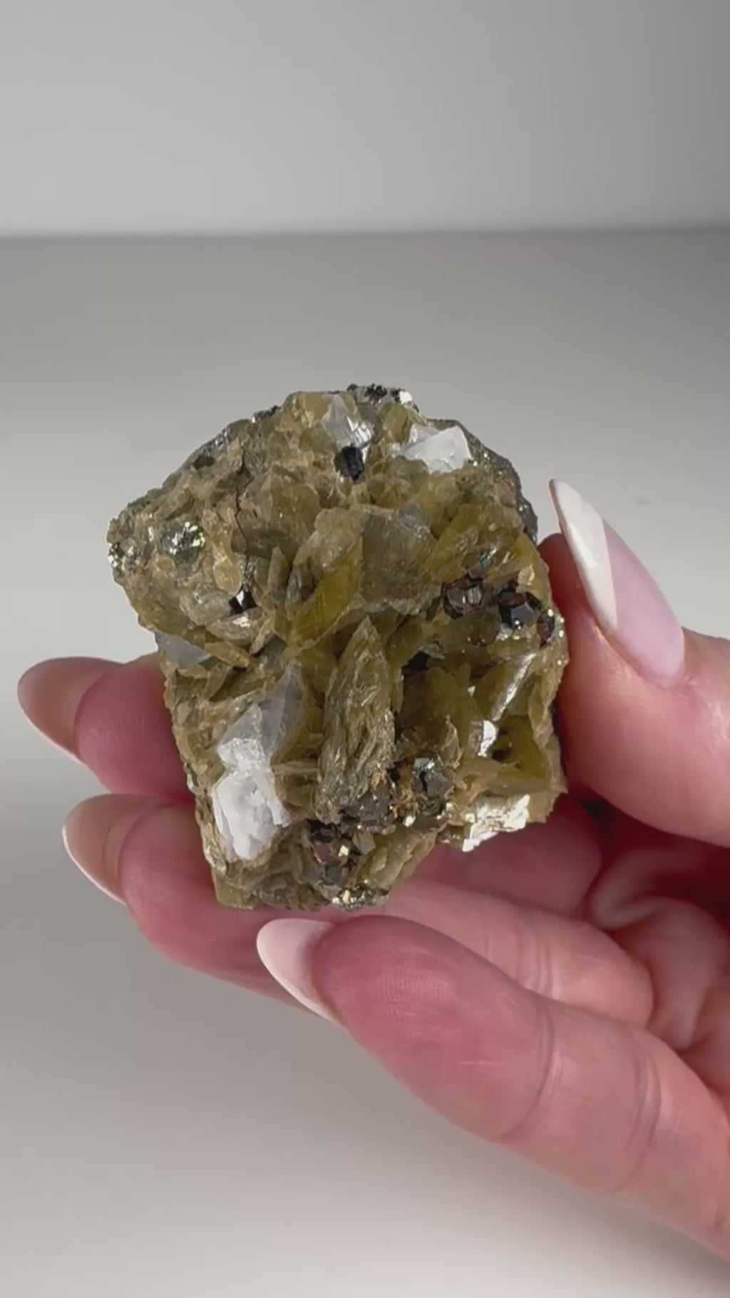 Siderite with Pyrite
