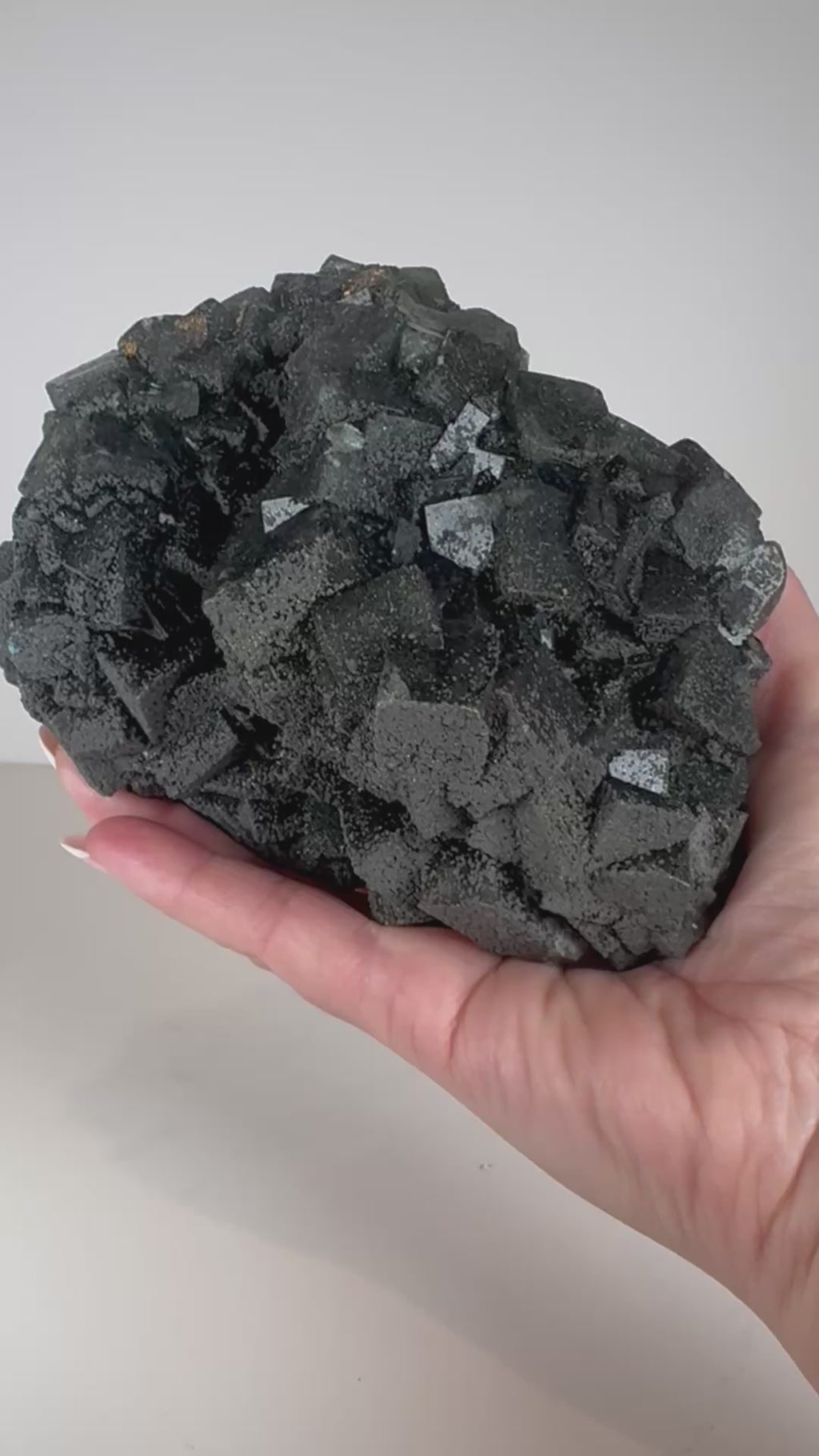 Dark Green Cubic Fluorite and Pyrite on Black Metal Stand