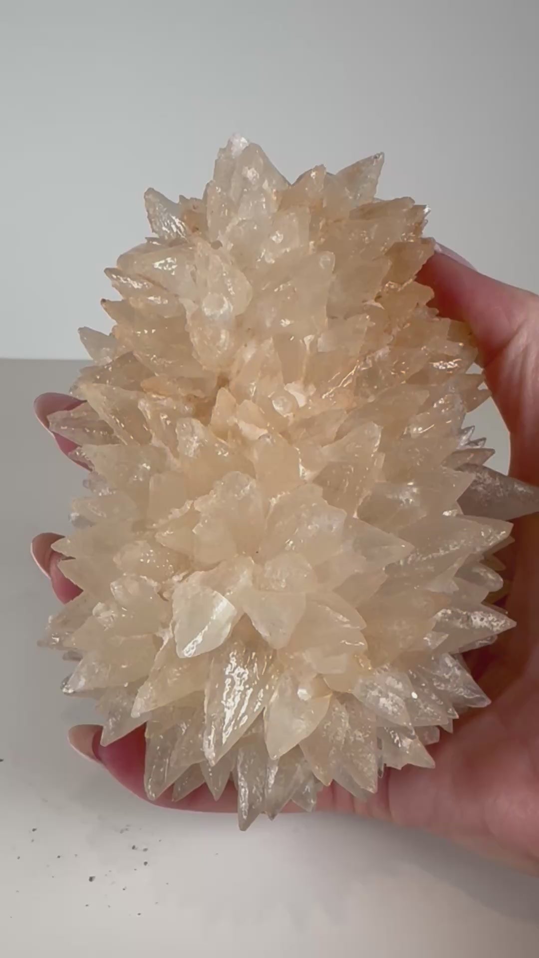 Pink Dogtooth Calcite Hedgehog