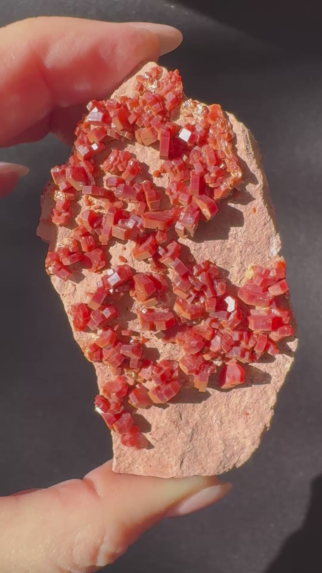 Vanadinite on Pink Sandstone