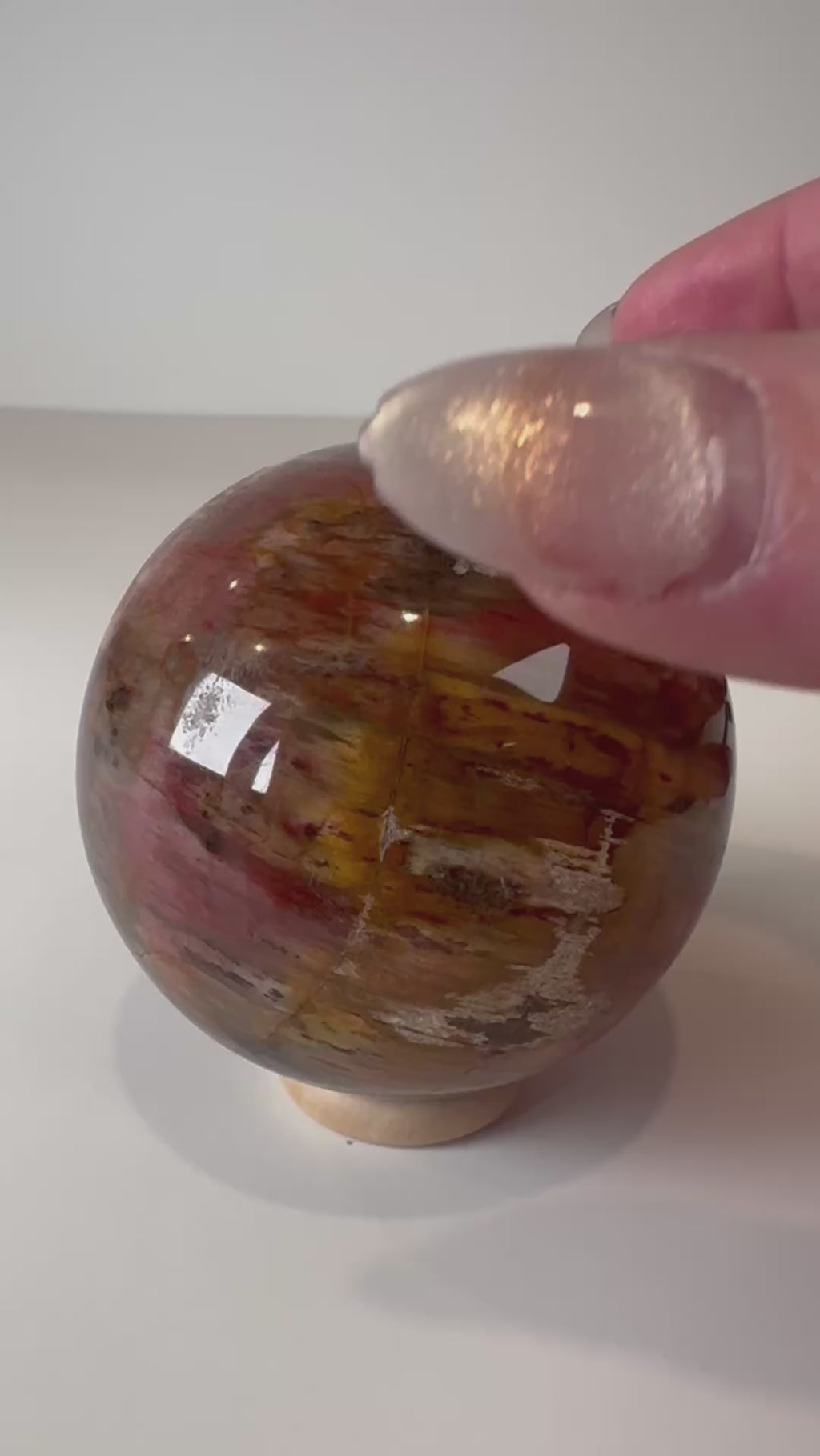 Petrified Wood Sphere