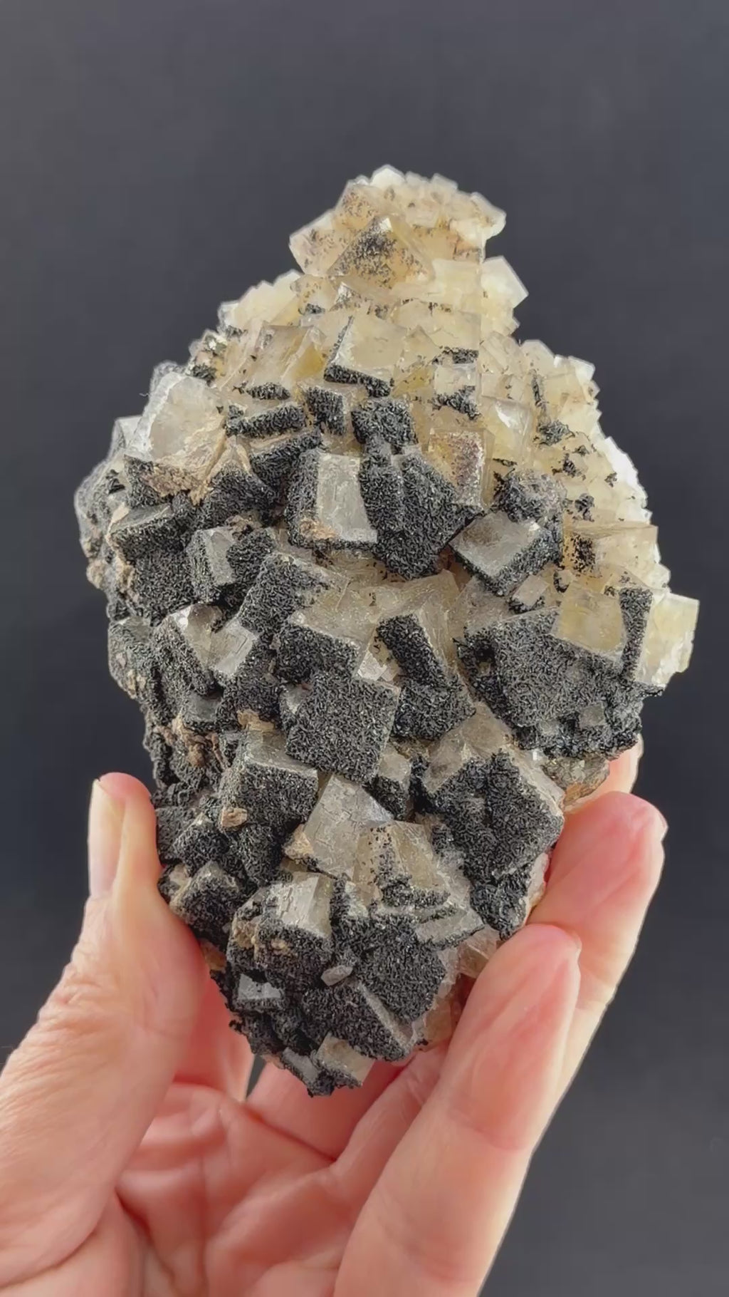 Fluorite & Black Siderite, Cumbria, England