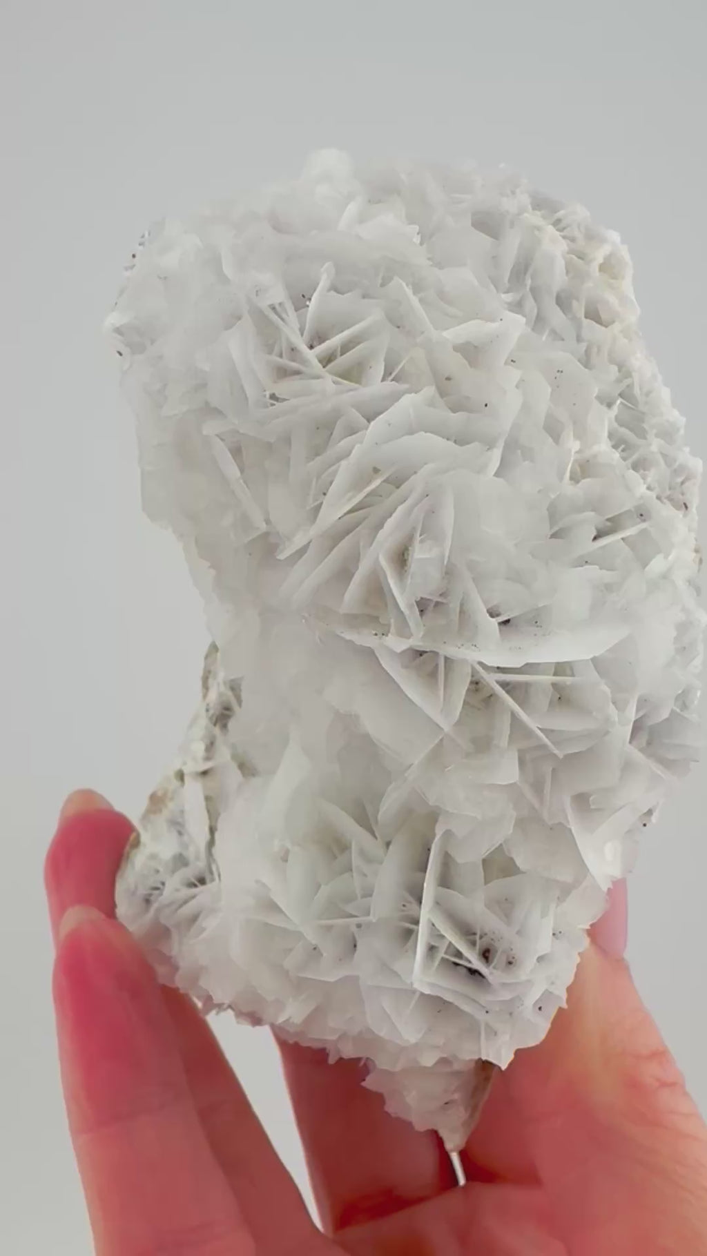 Flower Petal Calcite