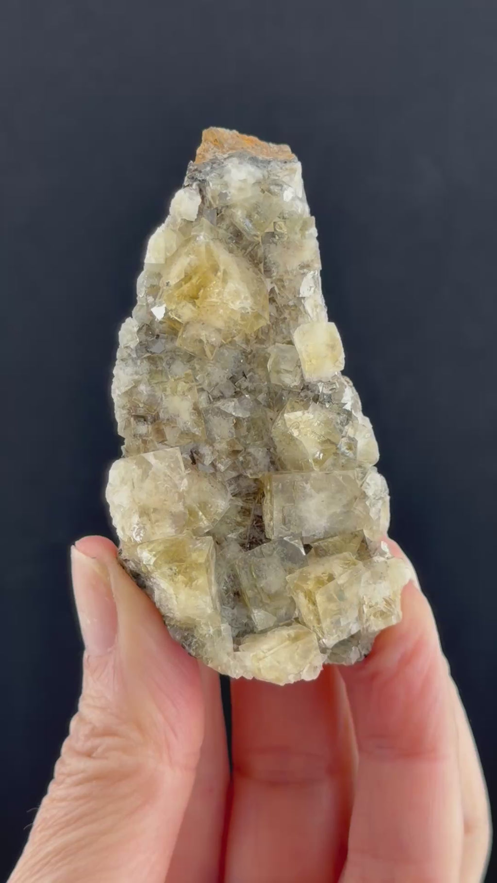 Frazer's Hush Fluorite, County Durham, England