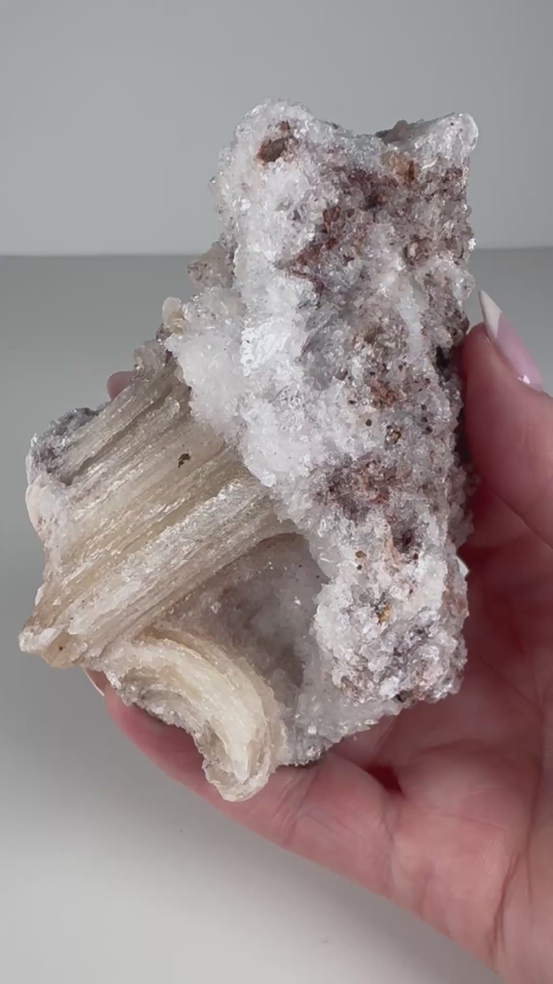 Rams Horn Selenite Specimen